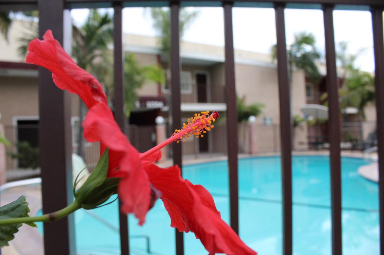 | Budget Inn Anaheim near Disneyland Drive
