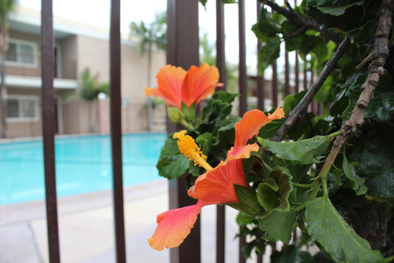 | Budget Inn Anaheim near Disneyland Drive