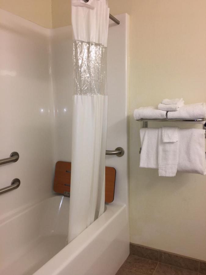 Queen Suite with Sofa Bed - Disability Access at Microtel Inn & Suites by Wyndham Indianapolis Airport