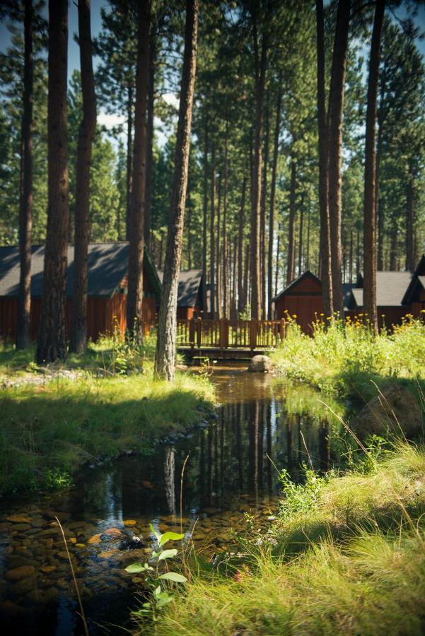 | FivePine Lodge