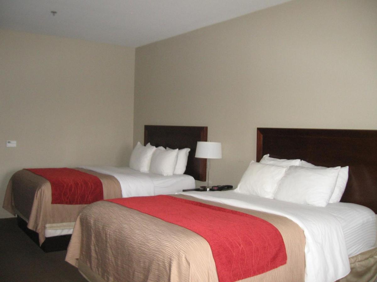 Queen Room with Two Queen Beds - Non-Smoking at Baymont by Wyndham Columbus