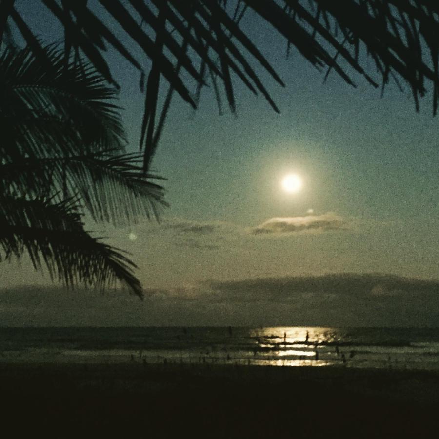  | Surf Studio Beach Resort