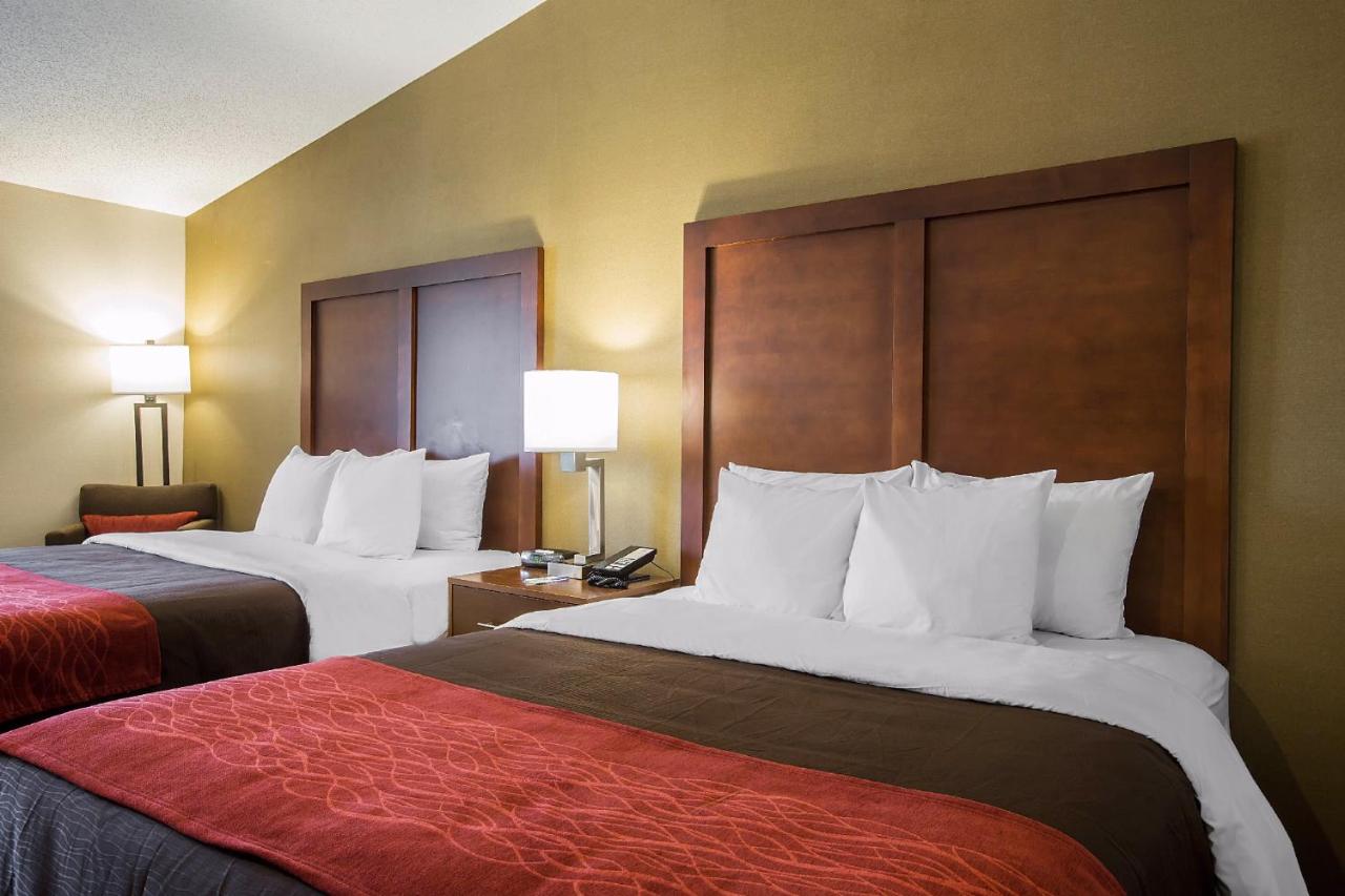 | Comfort Inn Glenmont - Albany South
