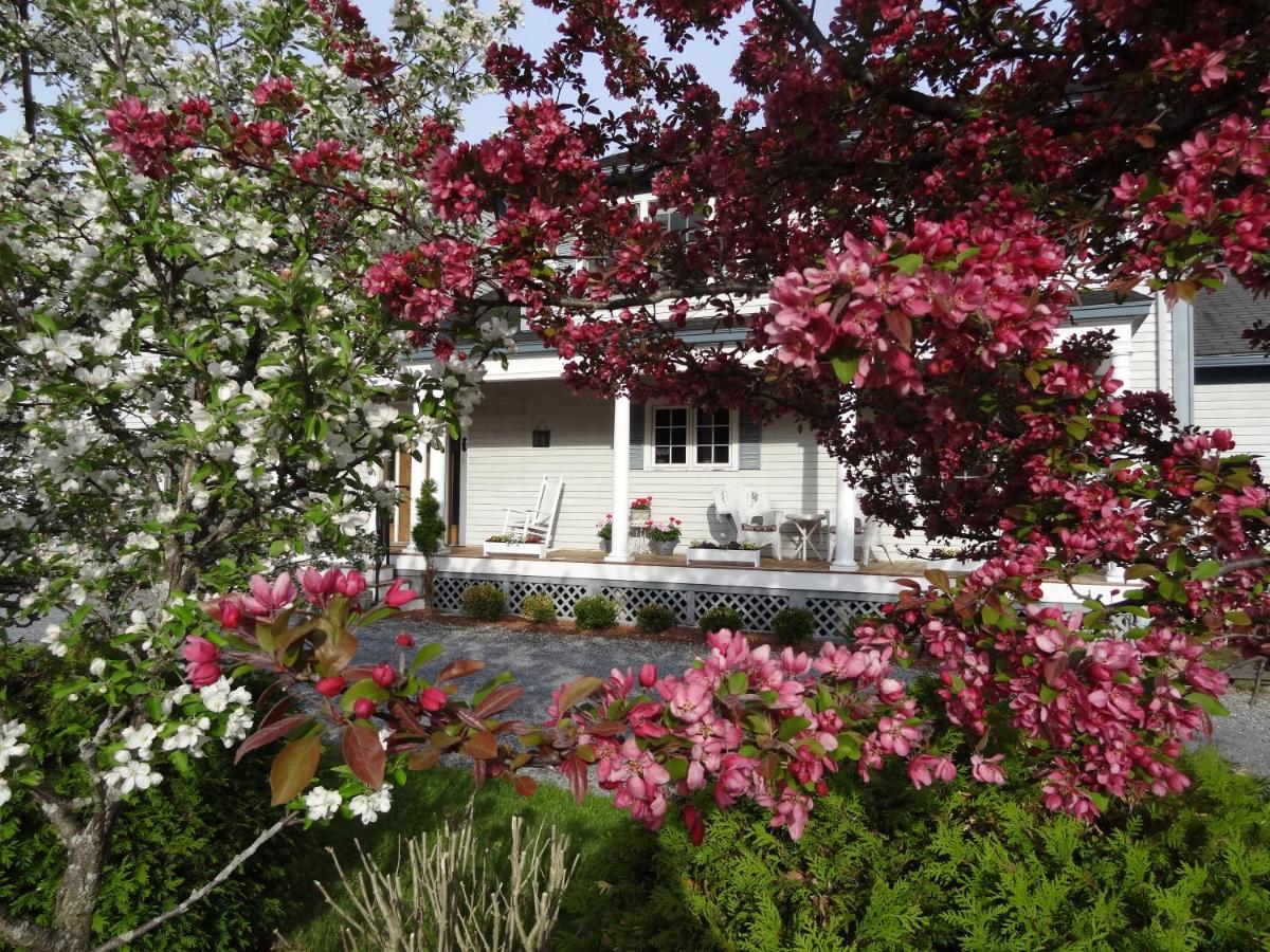 | Williston Village Inn