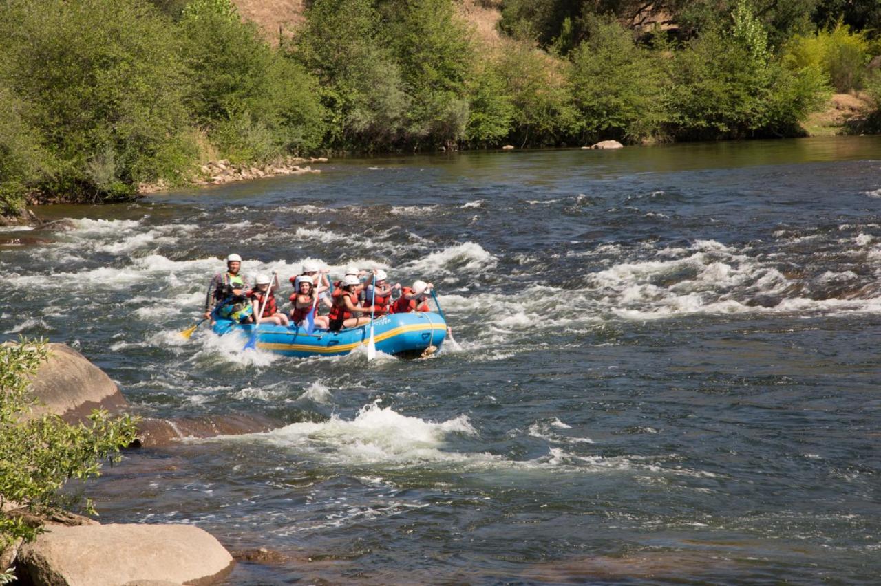 | Ponderosa Camping Resort One-Bedroom Cabin 2