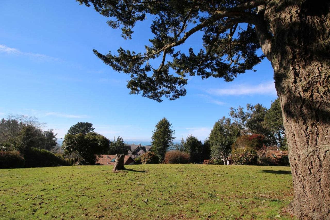 | View Crest Lodge