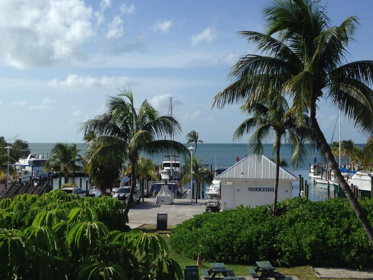 Stunning Marina Gulf View King Balcony at Banana Bay Resort & Marina