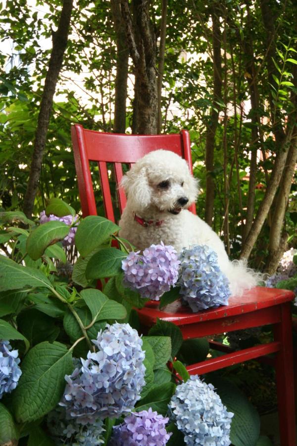 | Hydrangea House Inn