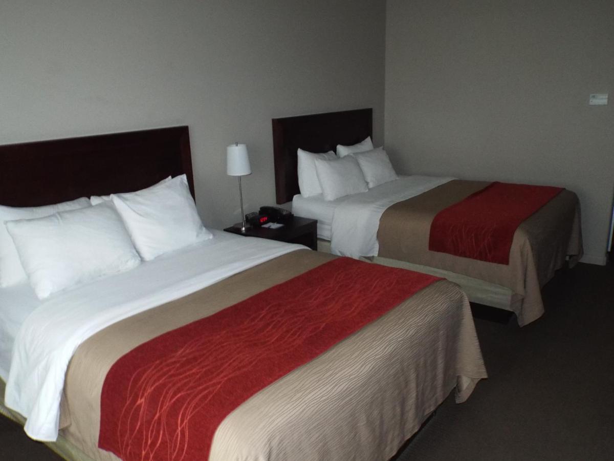 Queen Room with Two Queen Beds - Non-Smoking at Baymont by Wyndham Columbus