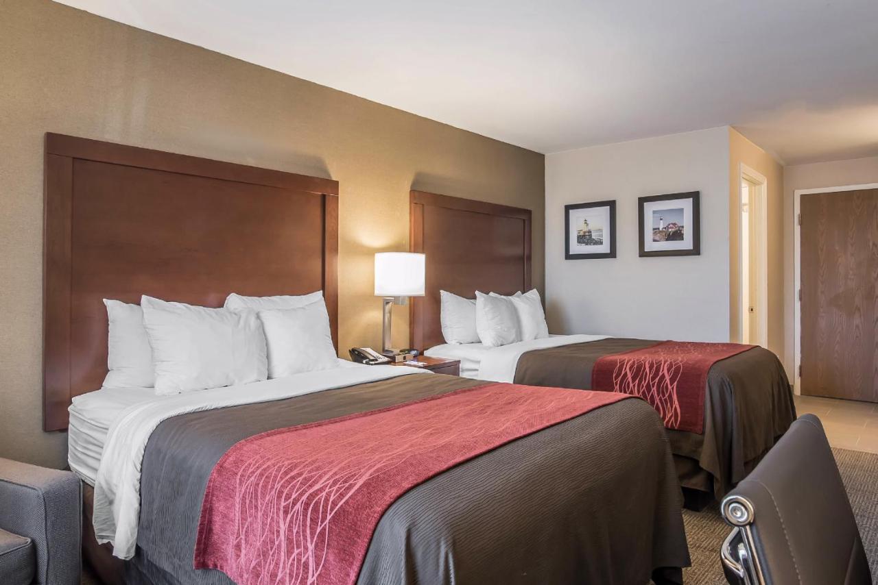 Busine Room with Two Double Beds - Non-Smoking at Comfort Inn South Portland Airport