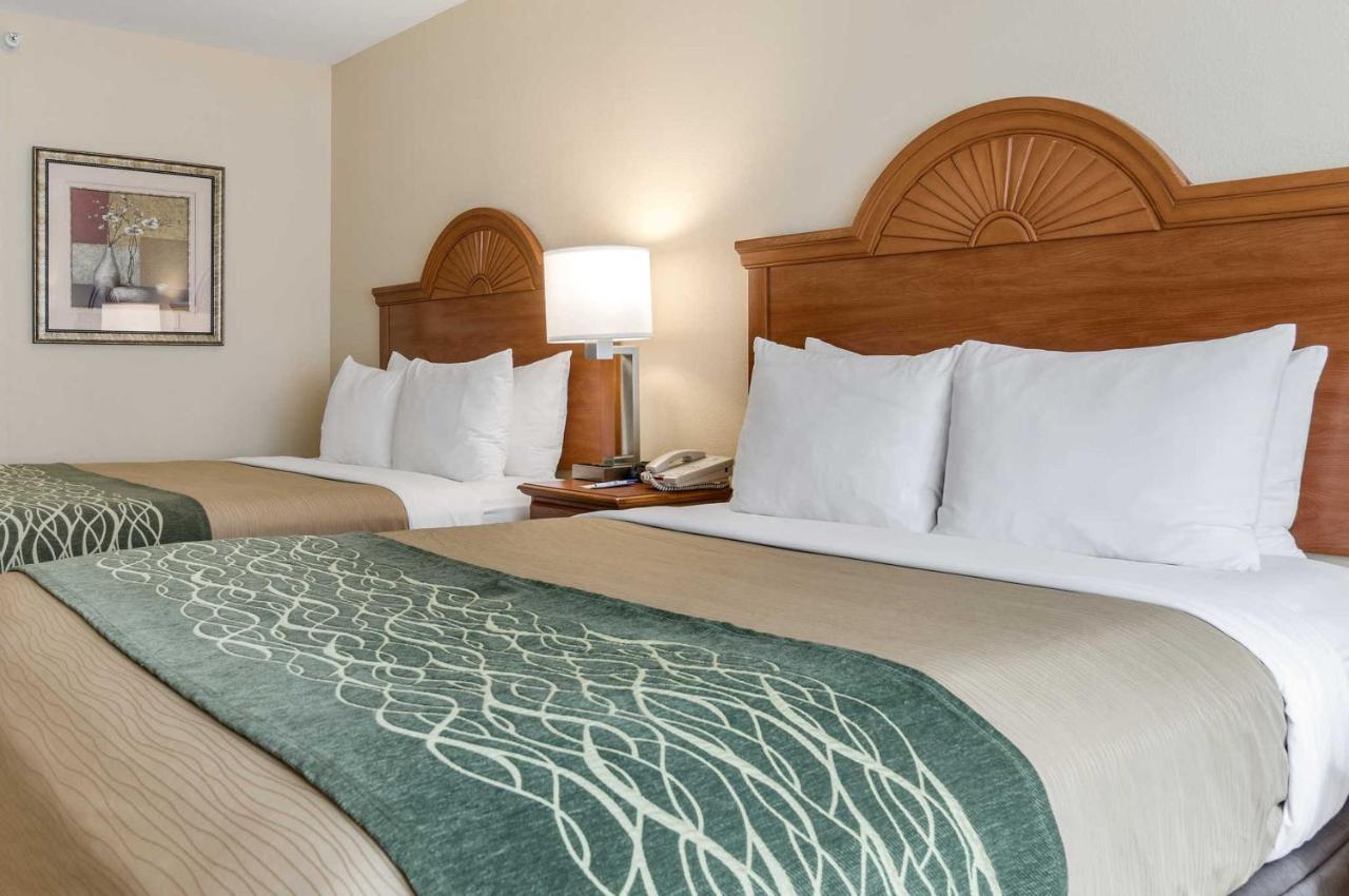 Queen Room with Two Queen Beds - Non-Smoking at Super 8 by Wyndham Great Bend