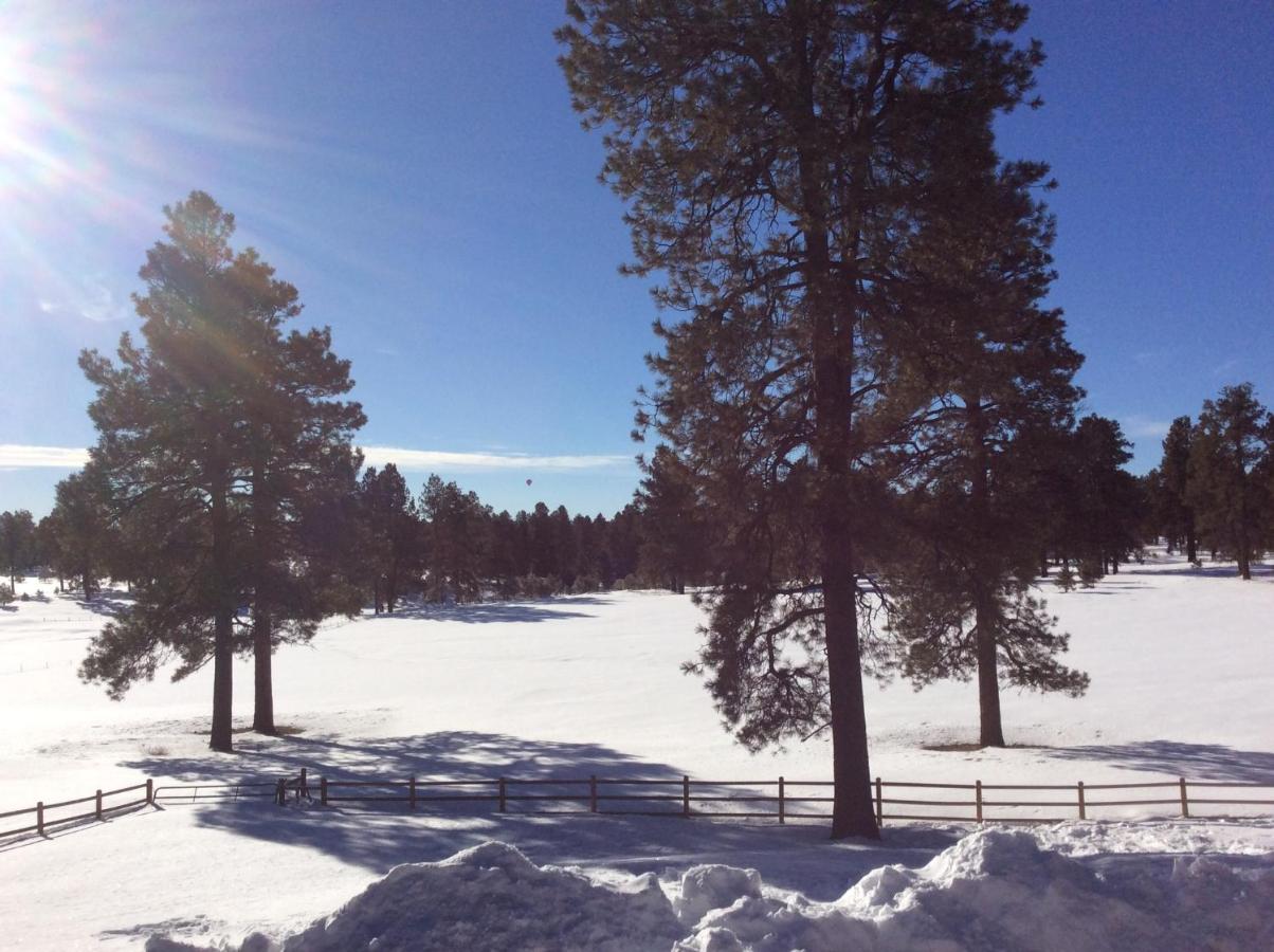 | Elktrace Bed and Breakfast