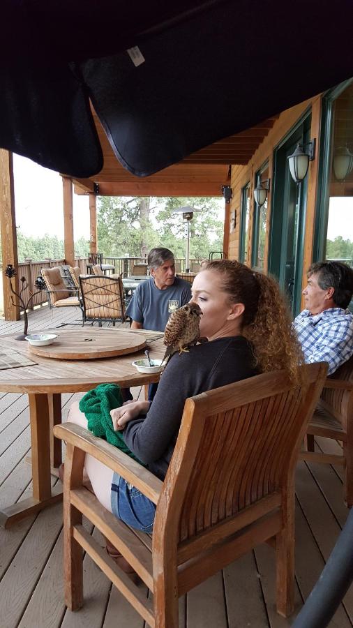 | Elktrace Bed and Breakfast