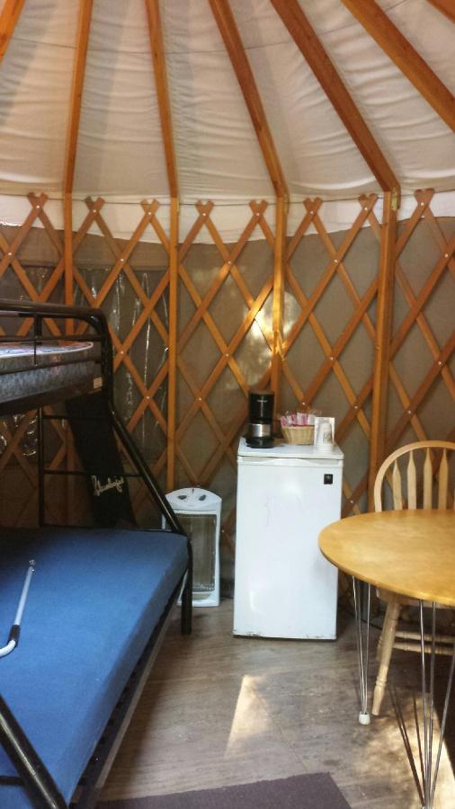 | Snowflower Camping Resort 12 ft. Yurt 9