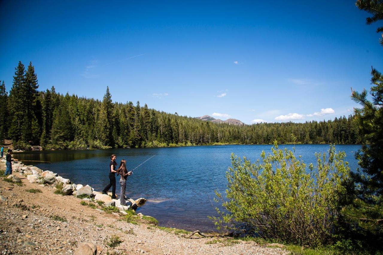 | Snowflower Camping Resort Cabin 4