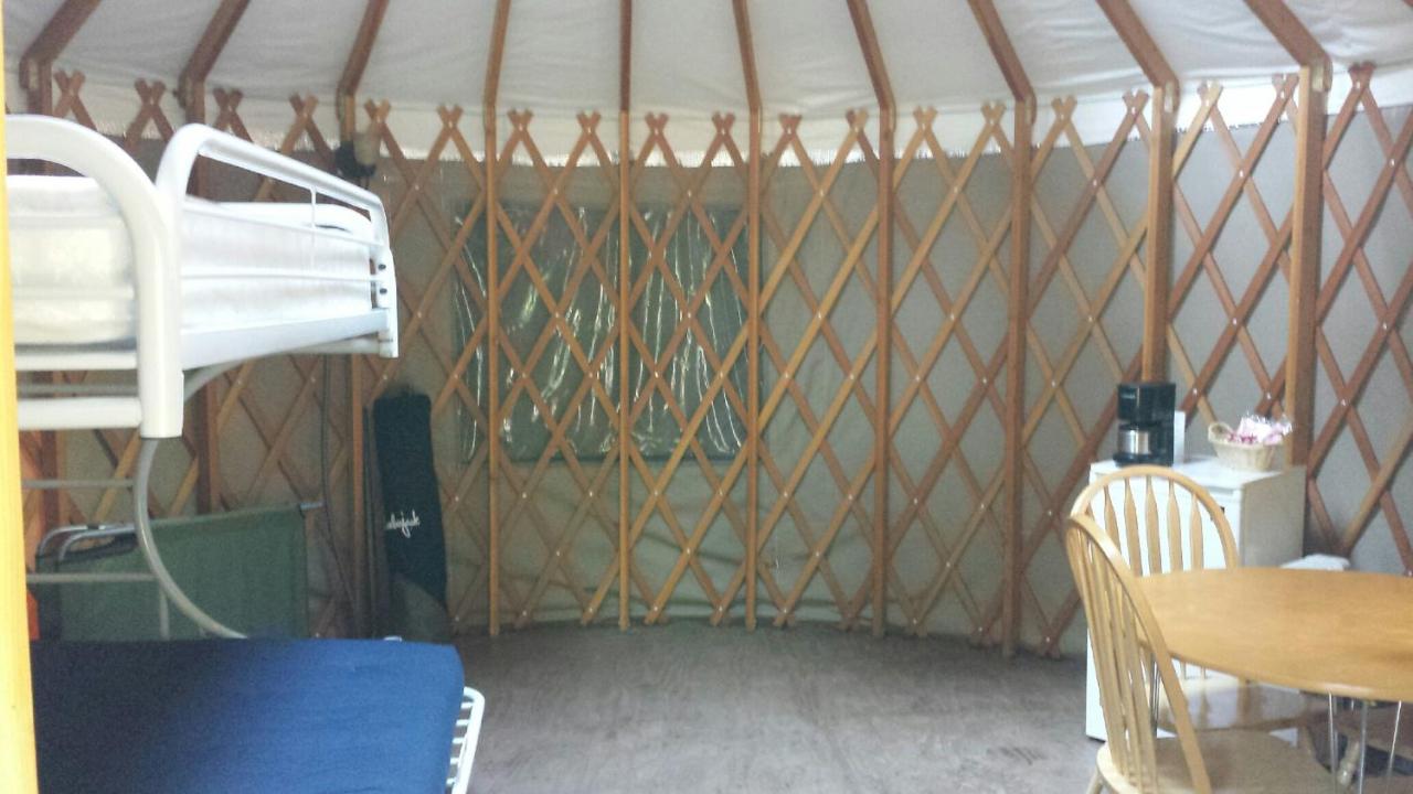 | Snowflower Camping Resort 16 ft. Yurt 10