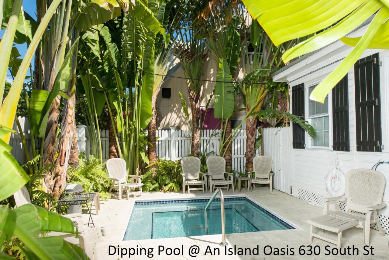 | An Island Oasis