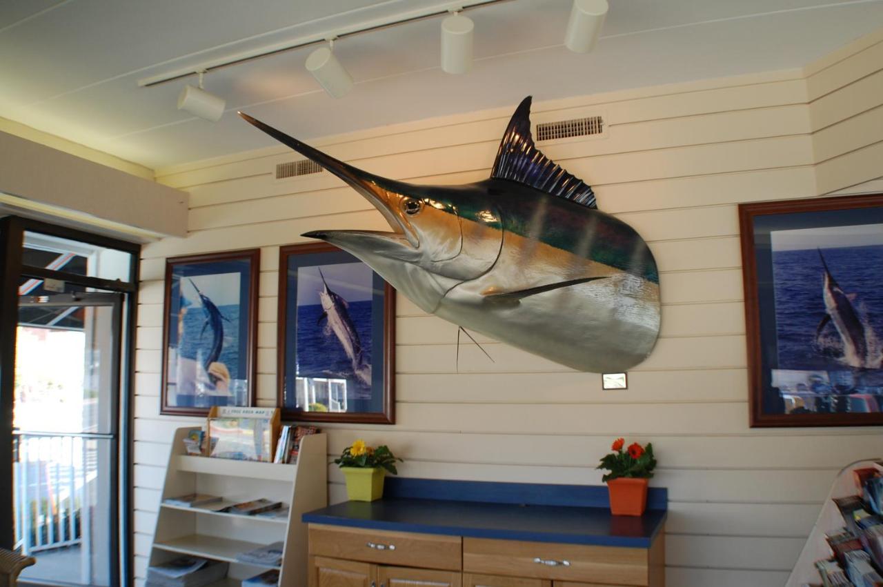 | The Spinnaker