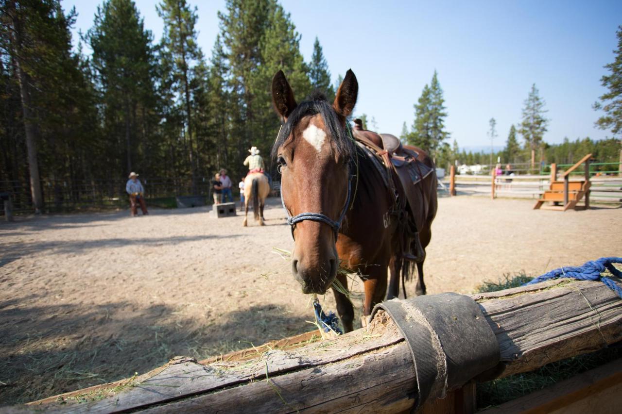 | Headwaters Lodge & Cabins at Flagg Ranch