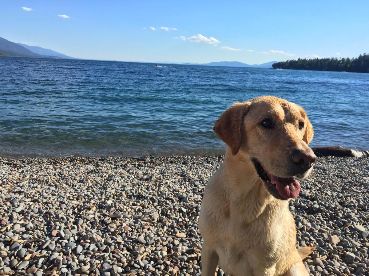 | Flathead Lake Resort