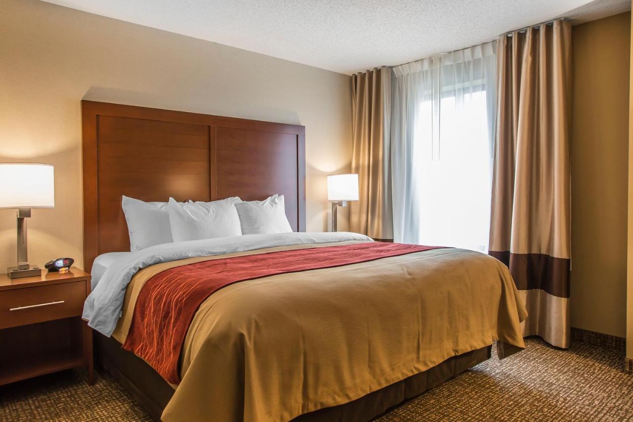 King Suite - Non-Smoking at Comfort Inn PA Turnpike - 1-81