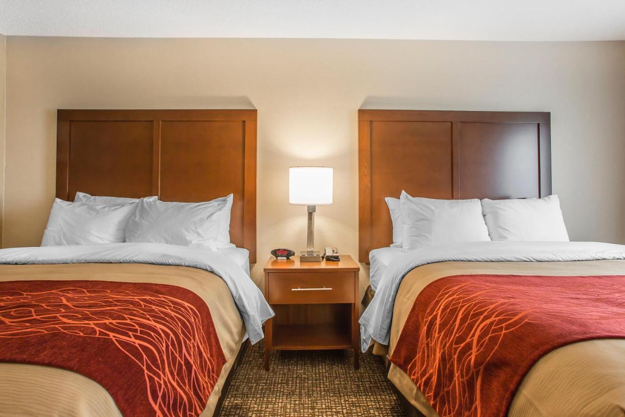 Queen Room with Two Queen Beds - Disability Access at Comfort Inn PA Turnpike - 1-81