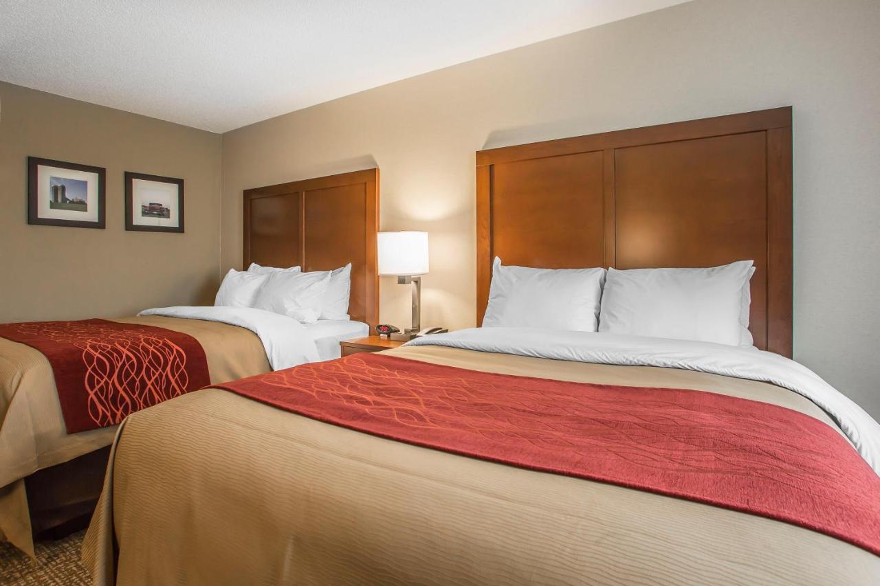Queen Room with Two Queen Beds - Non-Smoking at Comfort Inn PA Turnpike - 1-81