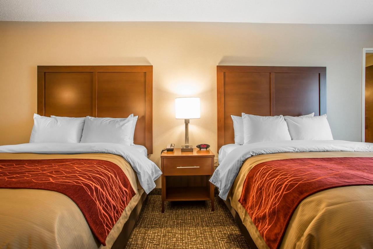 Queen Room with Two Queen Beds - Non-Smoking at Comfort Inn PA Turnpike - 1-81