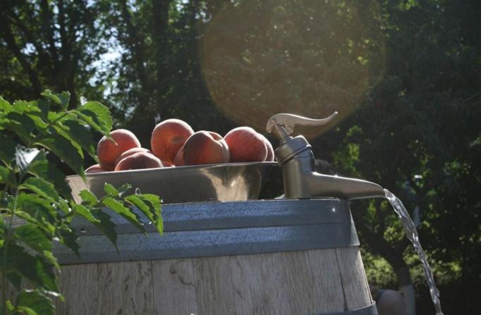  | Dreamcatcher Bed and Breakfast