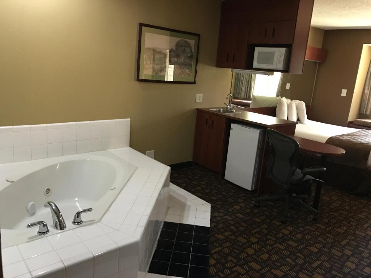 Deluxe Queen Studio Suite - Non-Smoking at Microtel Inn & Suites by Wyndham Lithonia/Stone Mountain