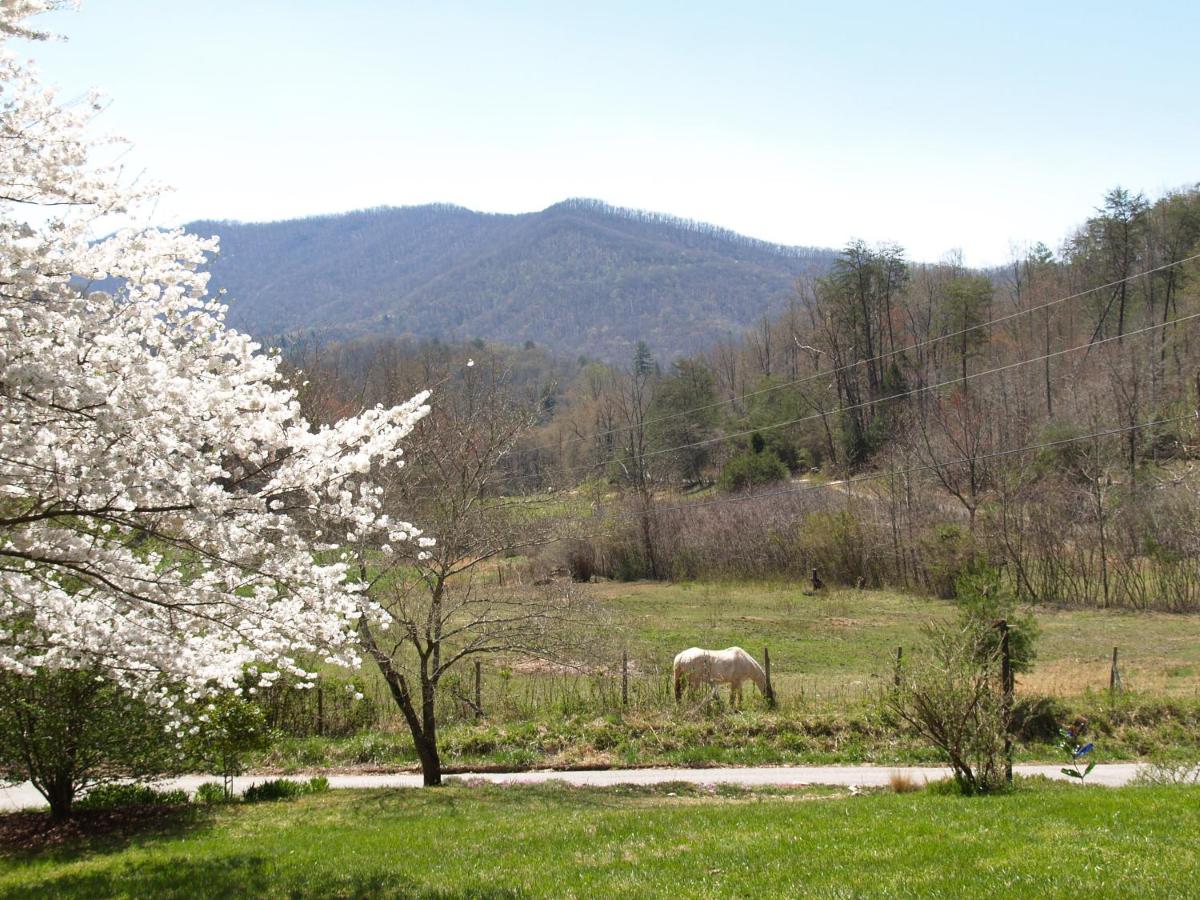 | Henson Cove Place Bed and Breakfast w/Cabin
