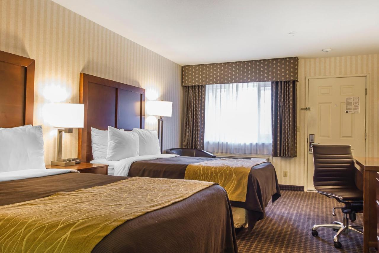 Standard Double Room at Quality Inn Half Moon Bay/Miramar Beach