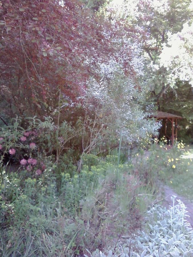  | Fairview Manor Bed and Breakfast