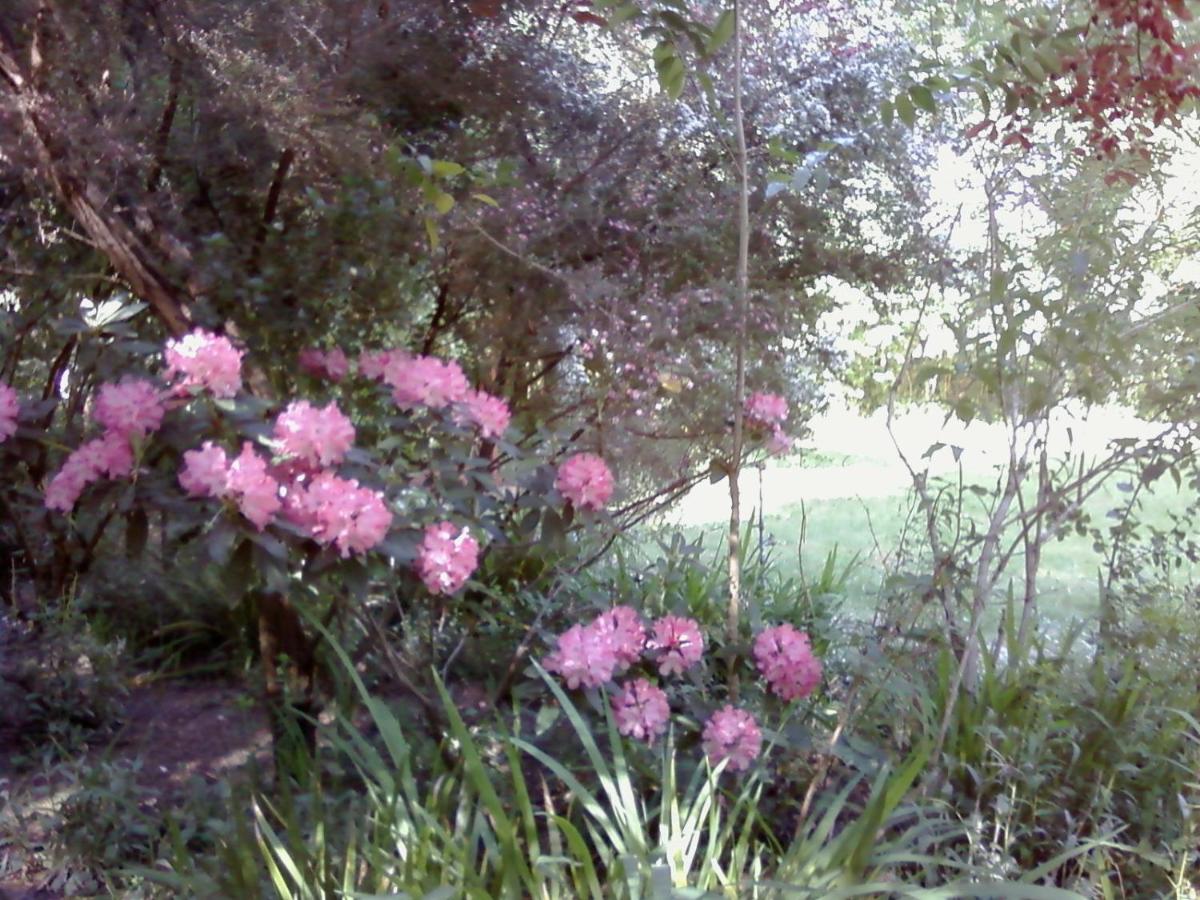  | Fairview Manor Bed and Breakfast
