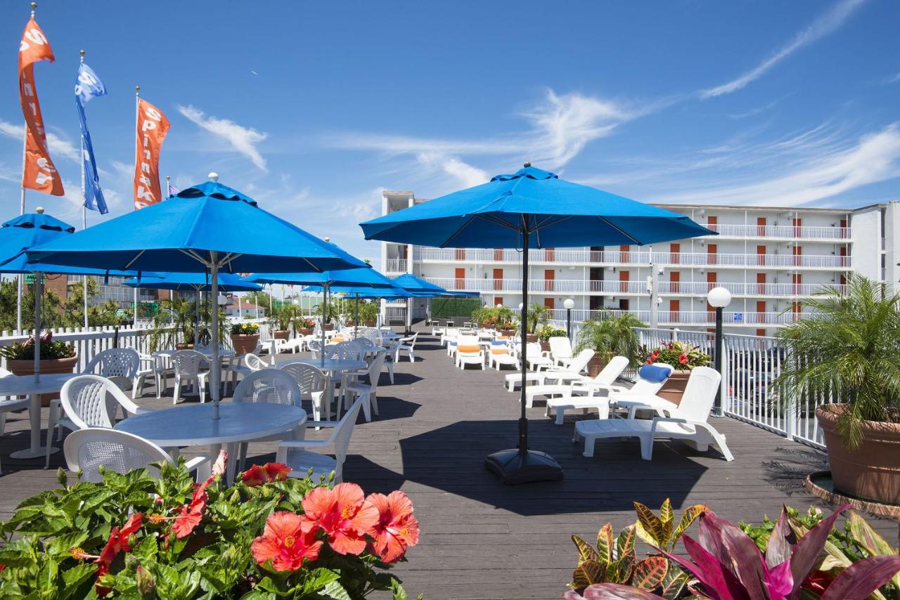 | The Spinnaker
