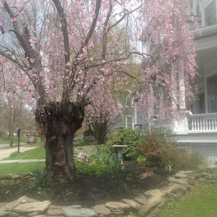 | Victorian Charm Inn