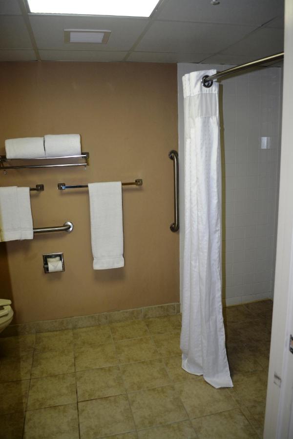 Queen Room with Roll-In Shower - Disability Access at SureStay Plus Hotel by Best Western Roanoke Rapids I-95