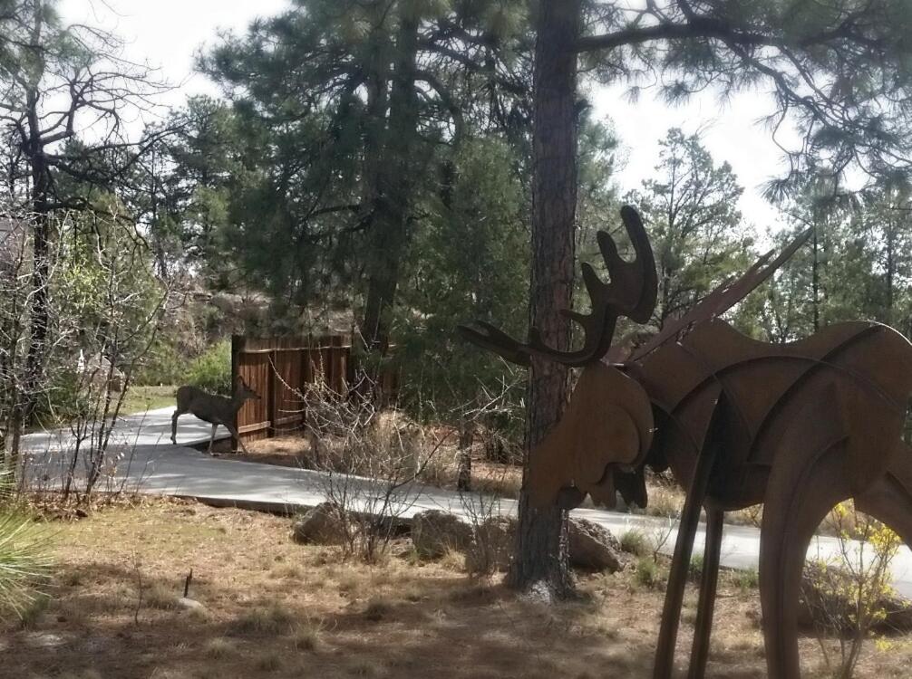 | Pueblo Canyon Inn