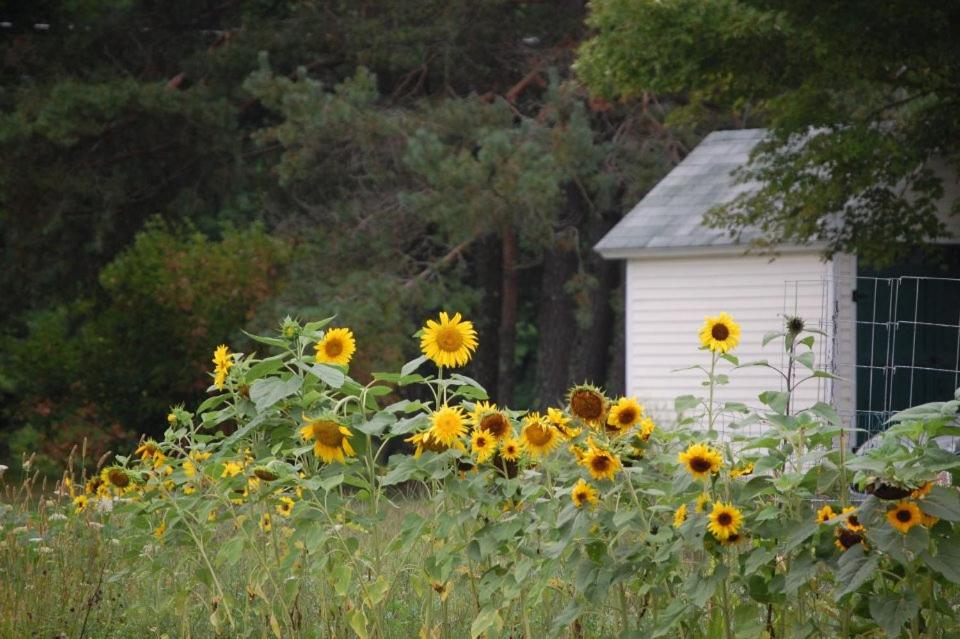 | Clary Lake Bed and Breakfast