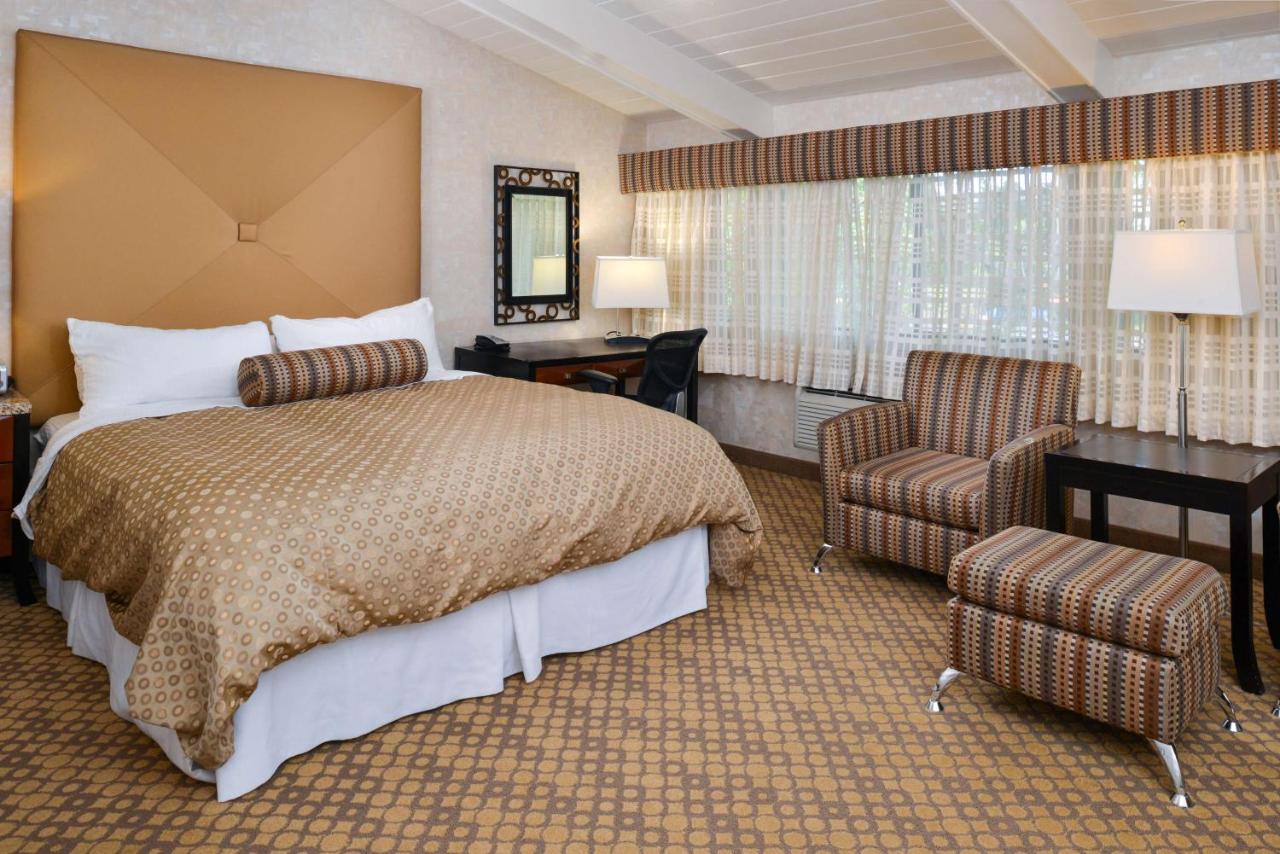 Deluxe King Room with Patio at Best Western Corte Madera Inn