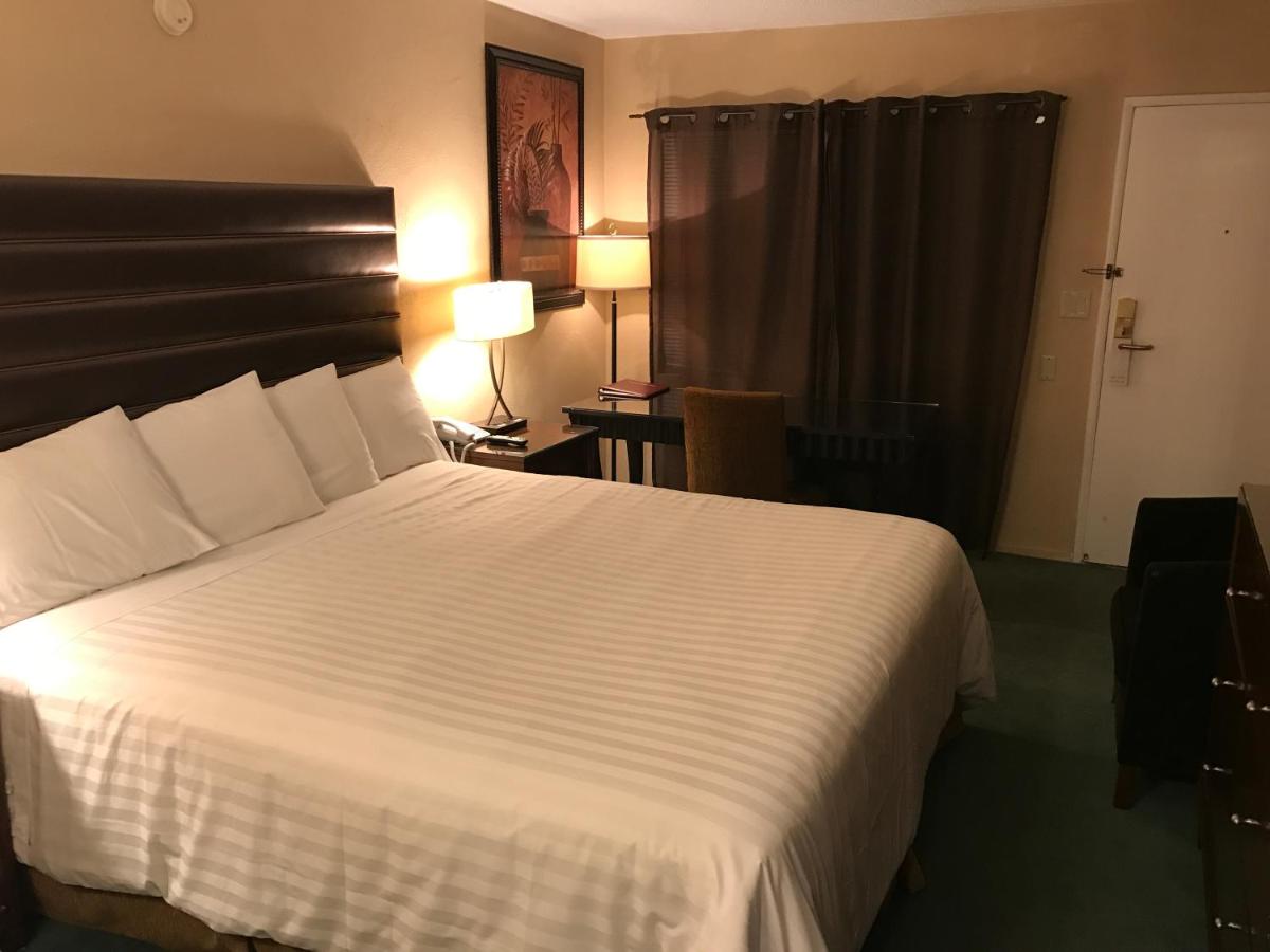  | Discovery Inn