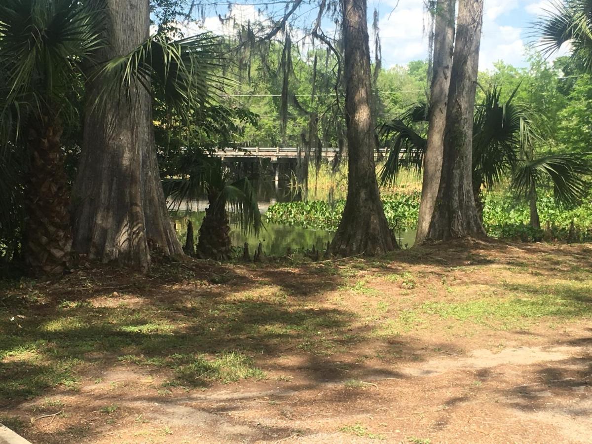 | Big Cypress