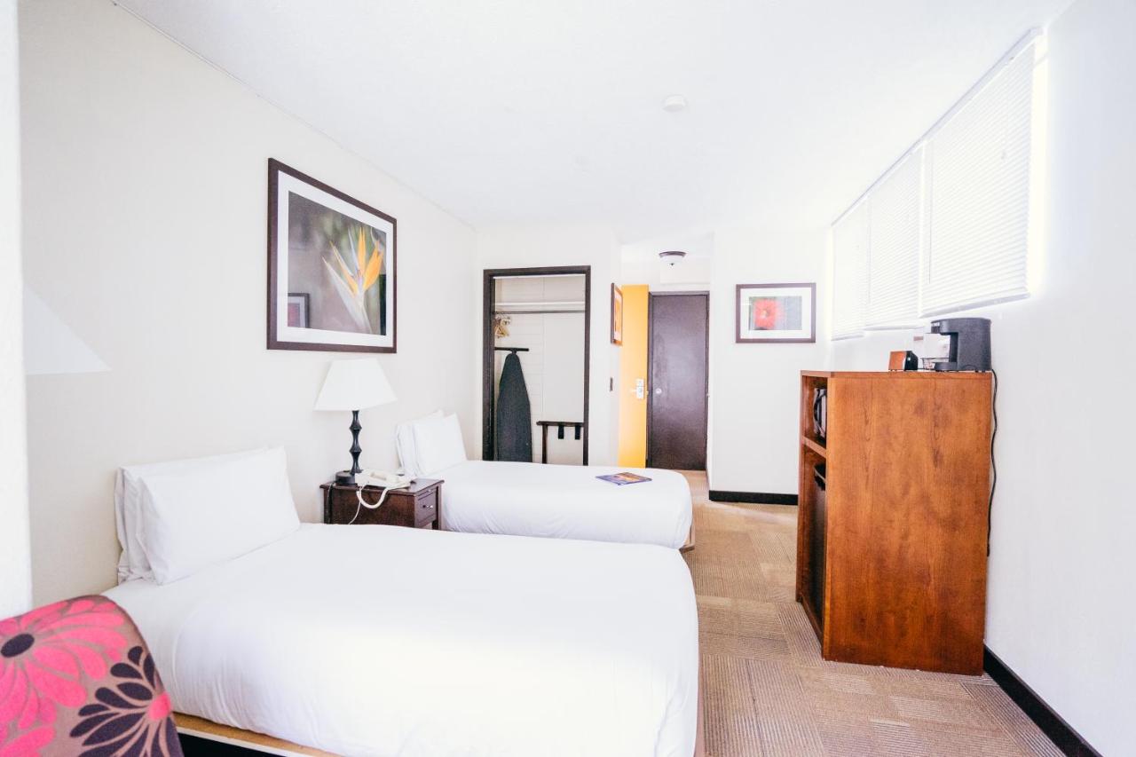 Twin Room with Two Beds at Stay Hotel Waikiki