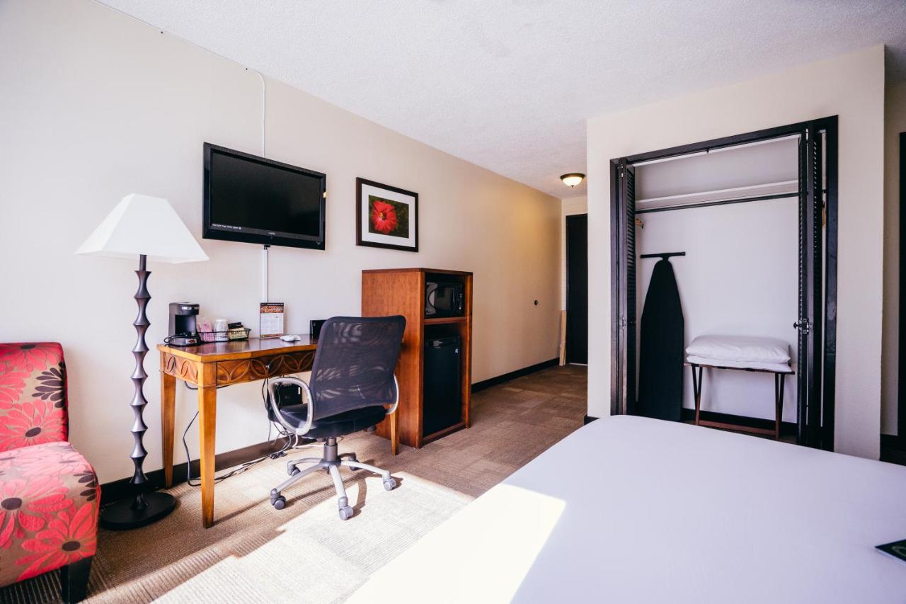 Boutique Queen Room at Stay Hotel Waikiki