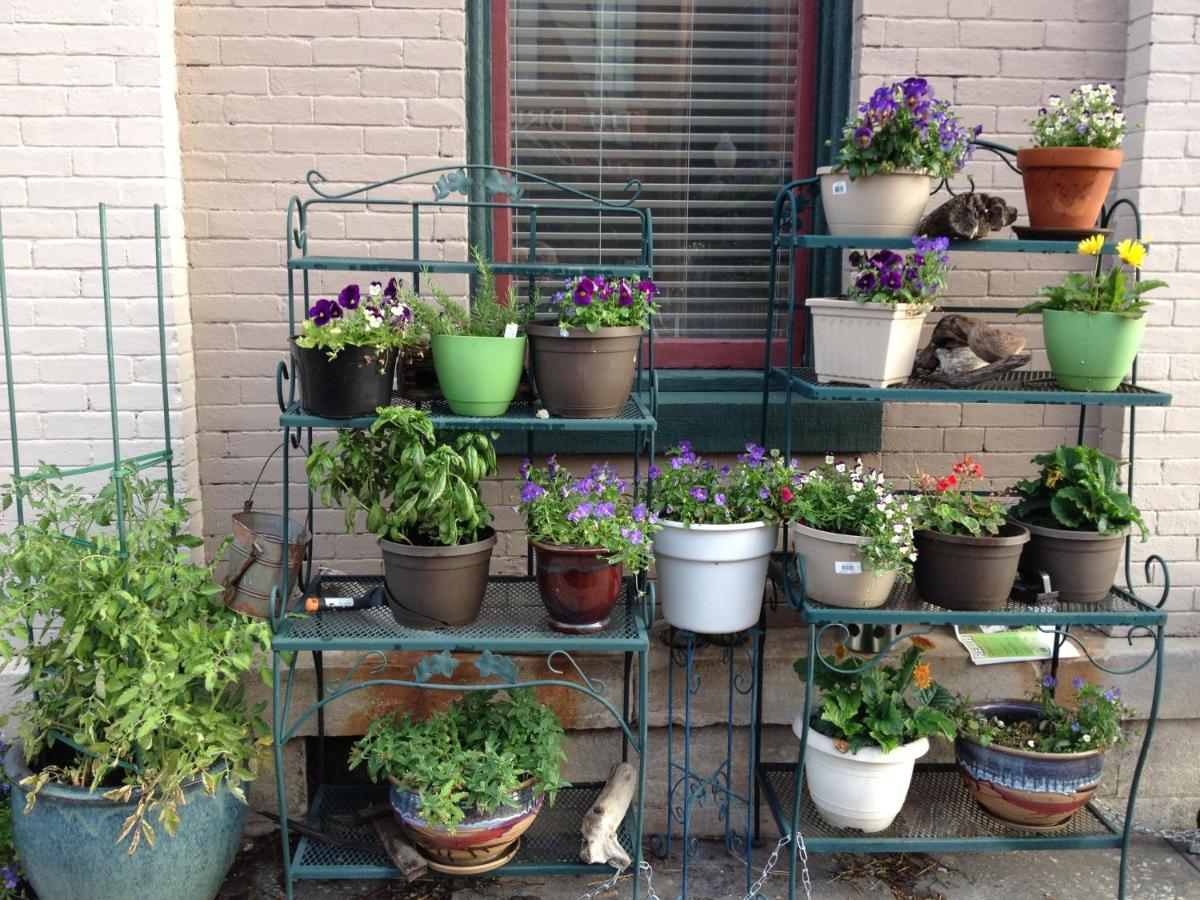 | Main Street Bed & Breakfast