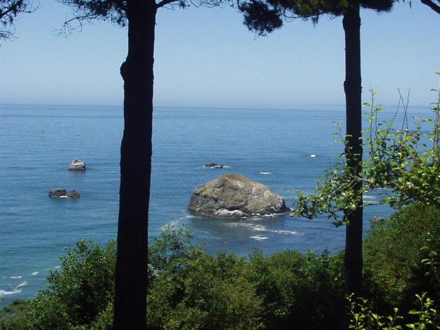 | Lost Whale Inn