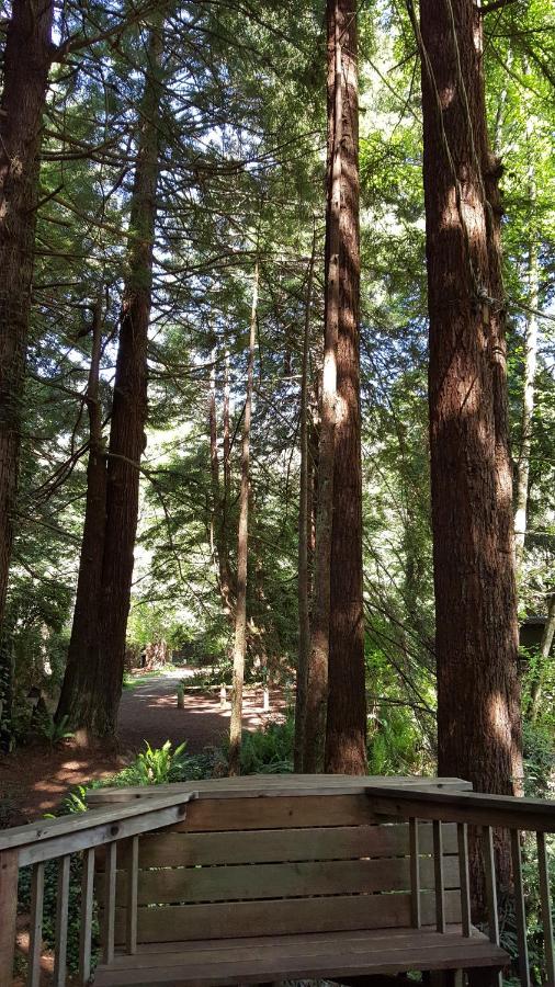 | Emerald Forest Cabins