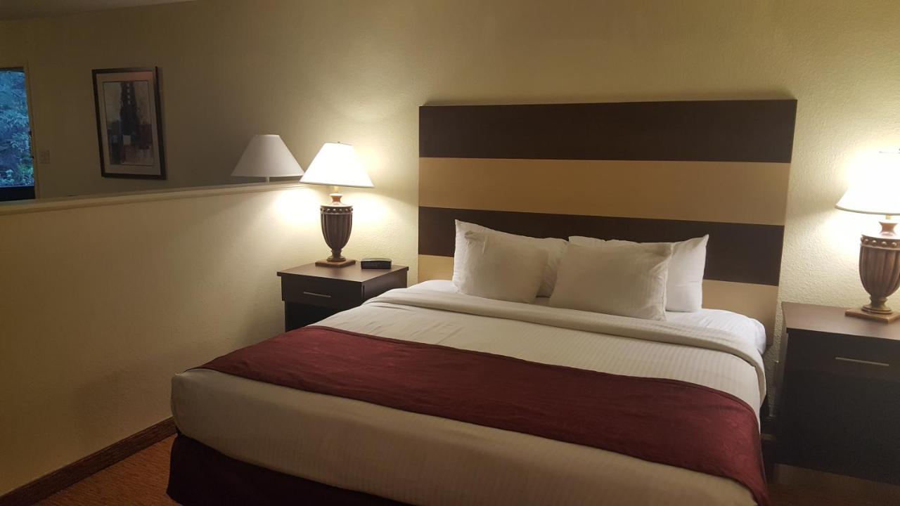 King Mini Suite - Non-Smoking at Best Western Pine Springs Inn