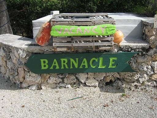 | The Barnacle B&B