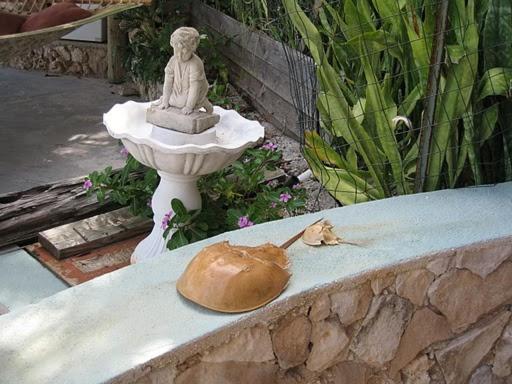 | The Barnacle B&B